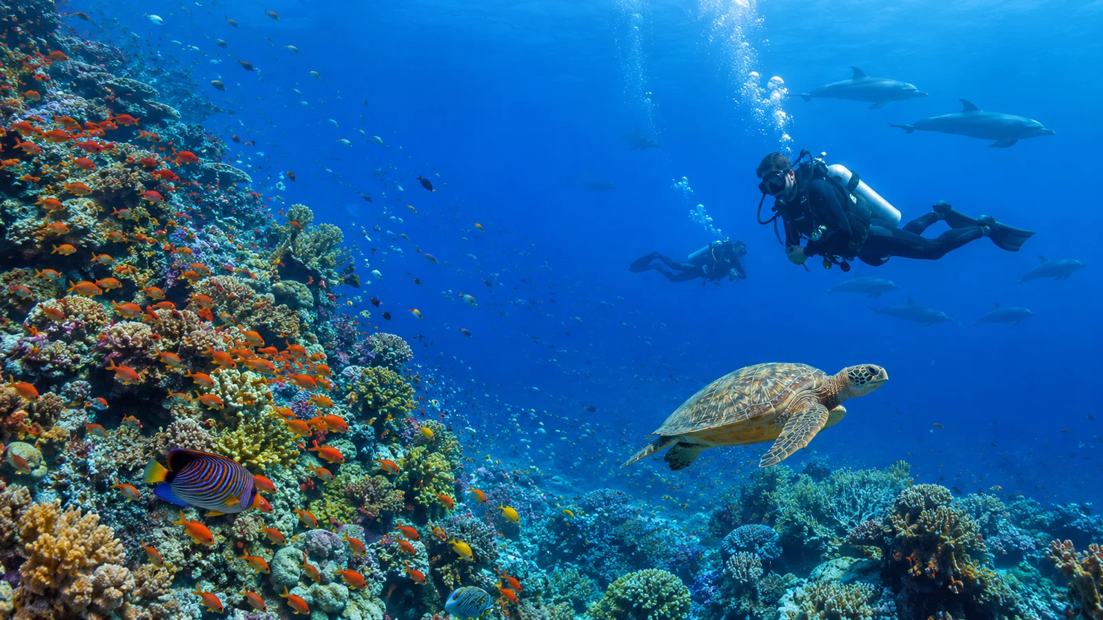 Specjalizacja PADI Deep