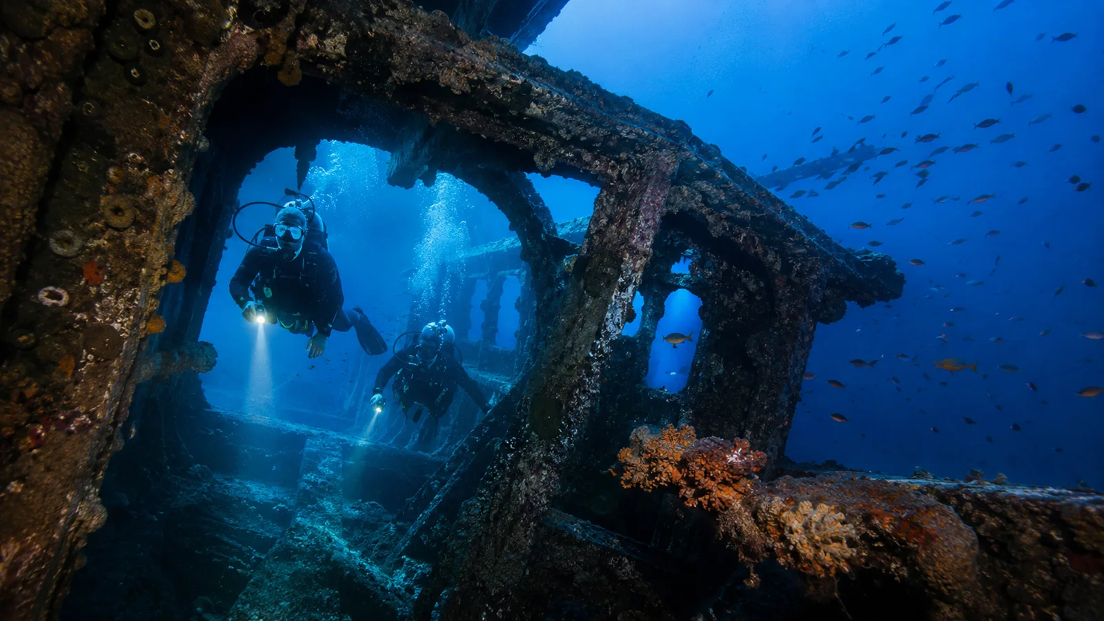 Specjalizacja PADI Wreck
